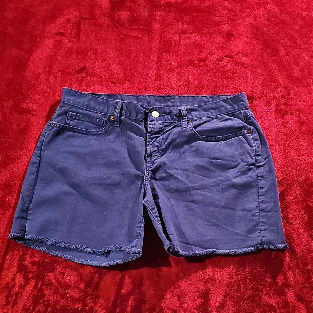 Lucky Brand Blue Jean Shorts Classic Summer Style Size 10